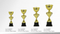 TC-3018 Plastic Cup Trophy Collection Gold Singapore