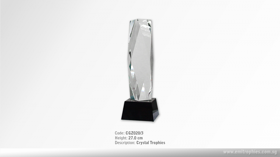 CGZ020