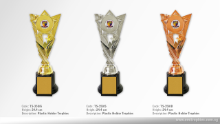 TS-350 Plastic Holder Trophy available in Gold, Silver and Bronze