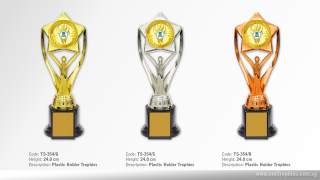 TS-354 Plastic Star Holder Trophy