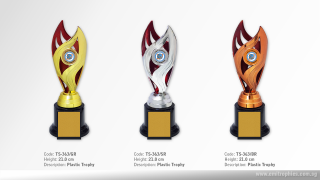 TS-363 Plastic Holder Trophy