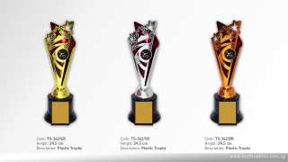 TS-362 Plastic Holder Trophy