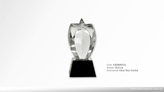 CGZ005 (CLEAR)