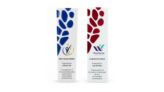 R02-Contemporary Resin Art Award