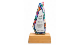 Recycled Plastic Award with Wooden Base