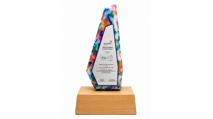 Recycled Plastic Award with Wooden Base