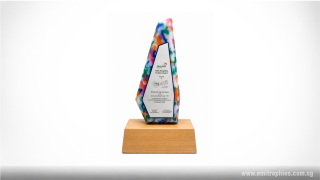 Recycled Plastic Award with Wooden Base
