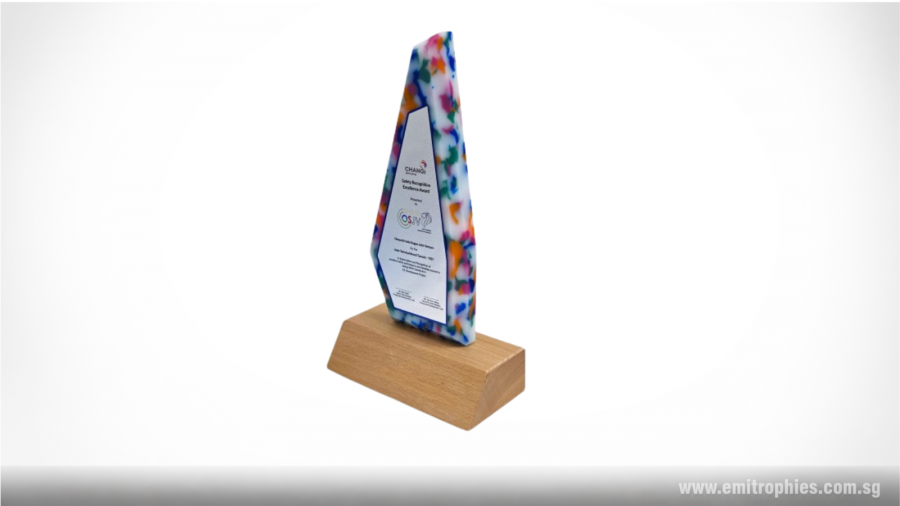 Recycled Plastic Award with Wooden Base