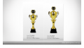 TC-3036