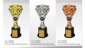 TS-367 Plastic Star Holder Trophy