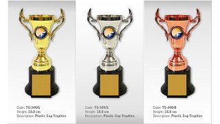 TS-349 Plastic Trophy with Trophy & Laurel