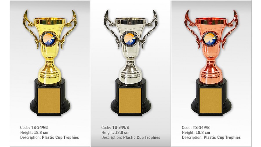 TS-349 Plastic Trophy with Trophy & Laurel