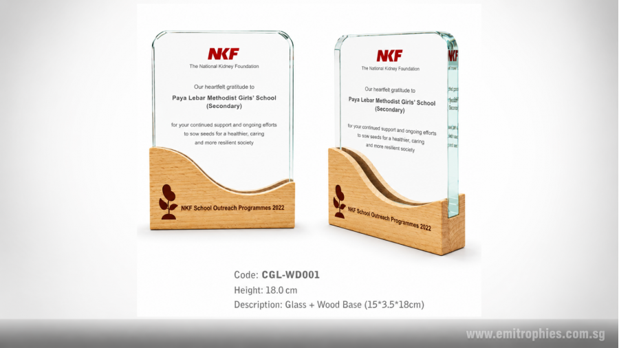 CGL-WD001 Glass & Wood Trophy