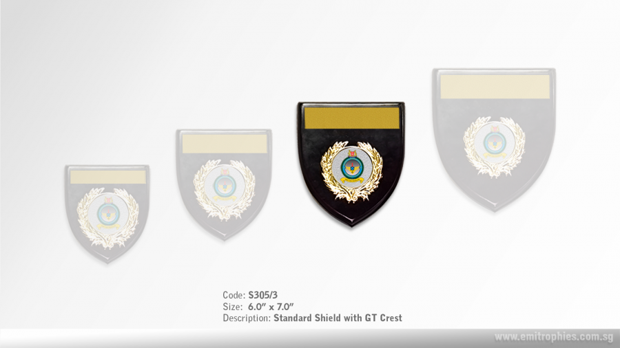 S305