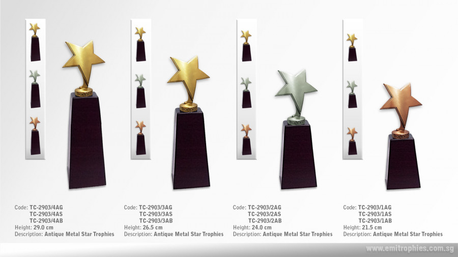 TC-2903 metal star trophy Singapore
