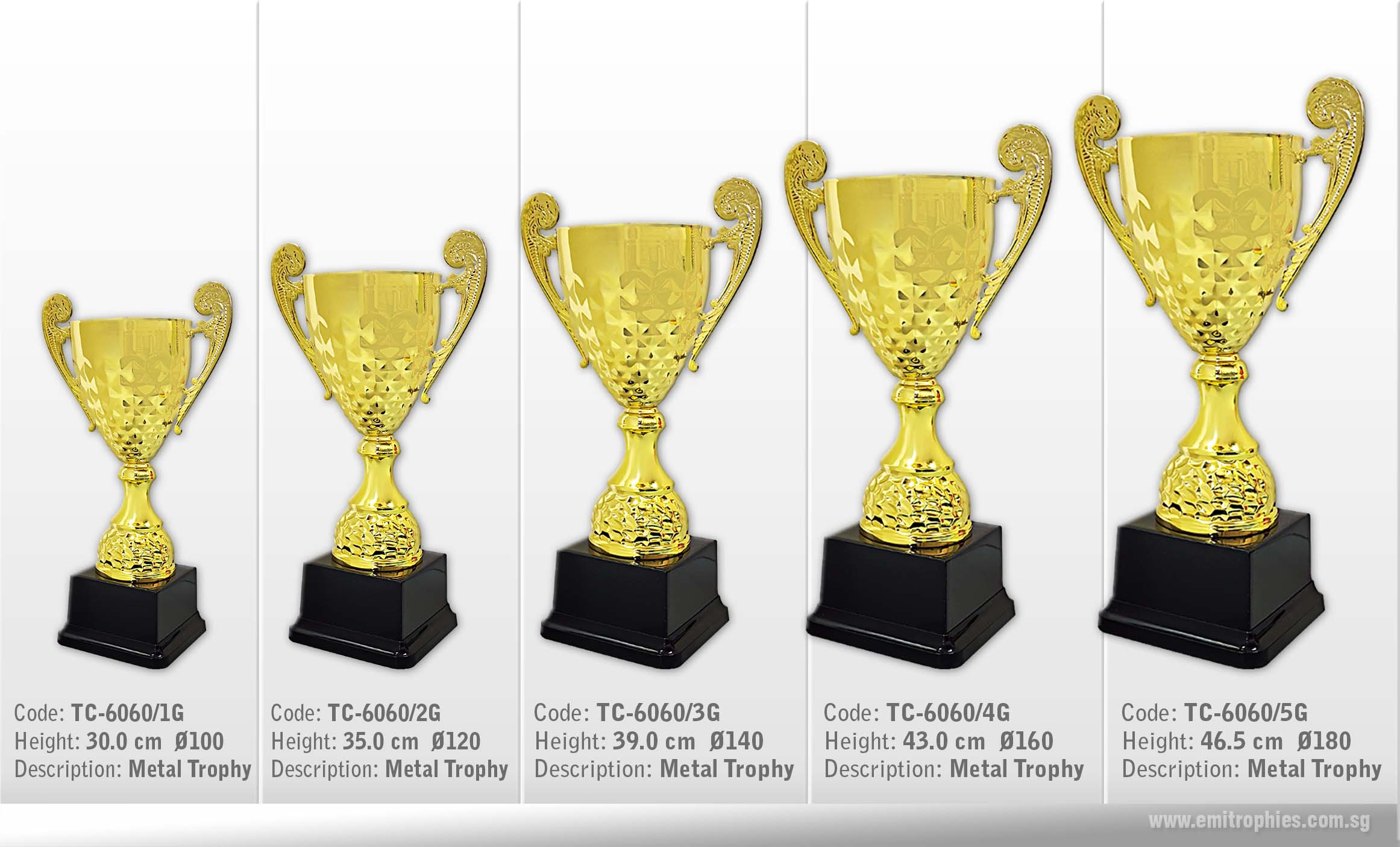 TC-6060 metal trophy Singapore